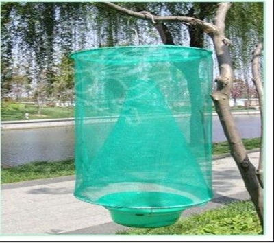 郑州诱蝇笼